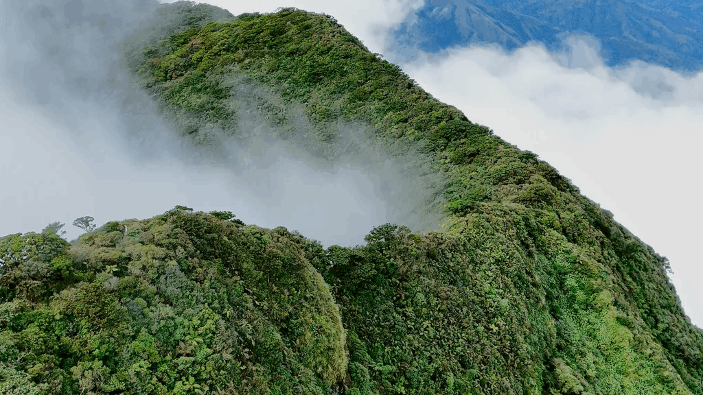 Mount Madjaas